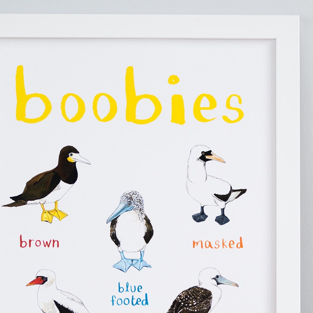 Boobies A4 Art Print