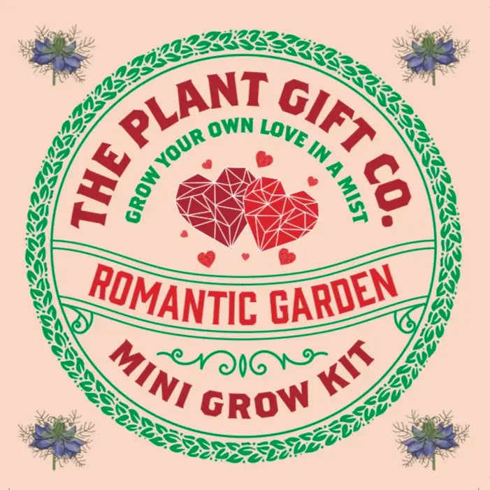 Romantic Garden Mini Plant Growing Gift
