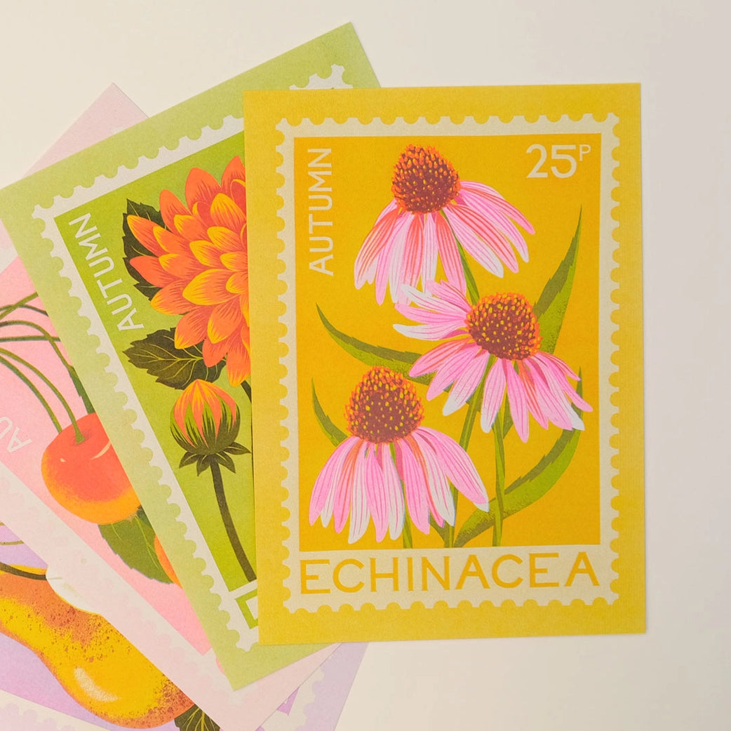 Echinacea A5 Risograph Print