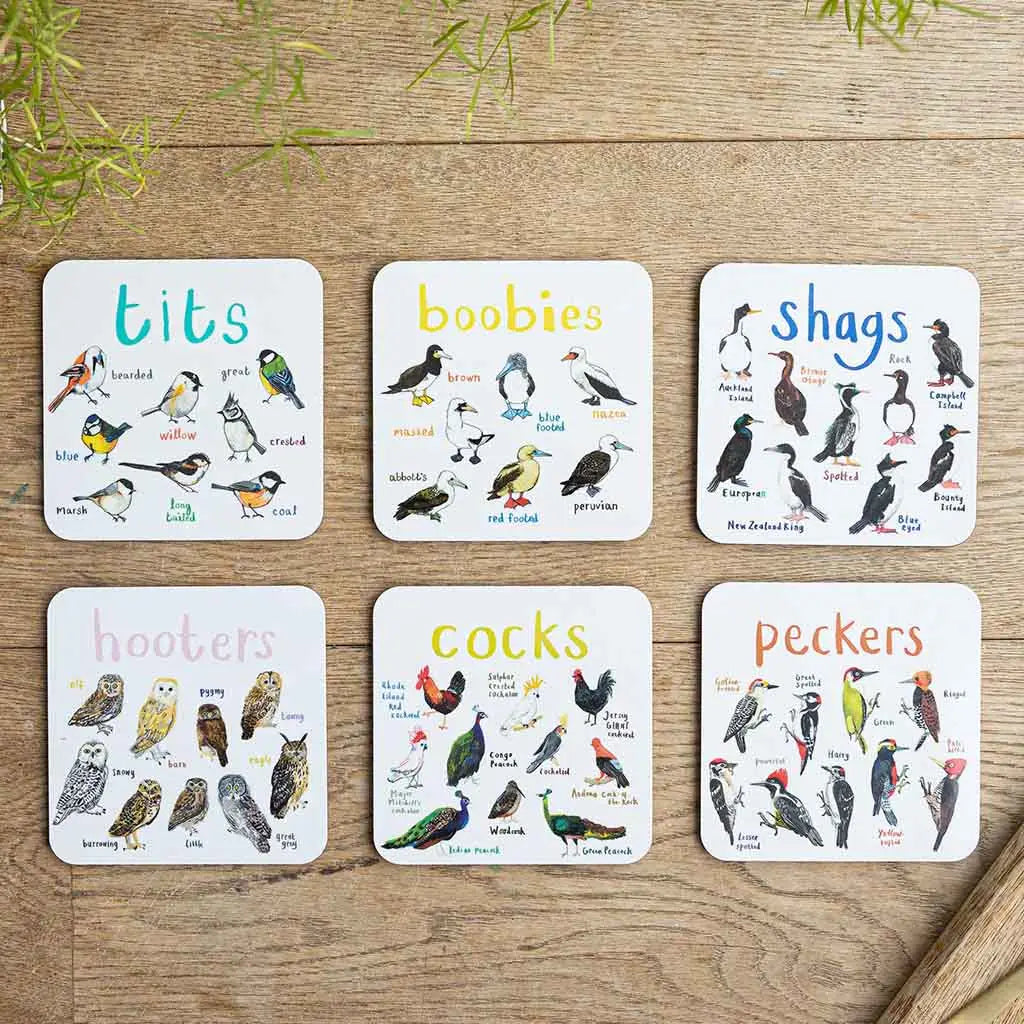 Set Of 6 Bird Pun Coasters