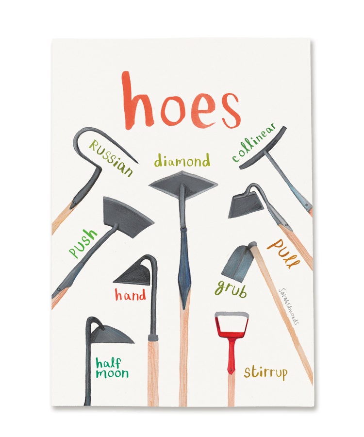 Hoes A4 Art Print