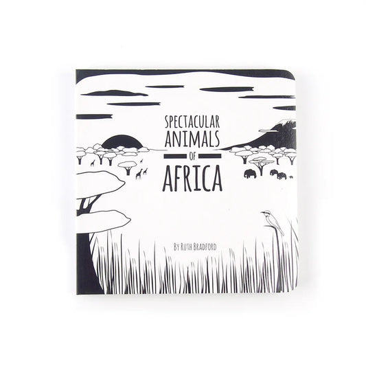 Baby Board Book - Africa