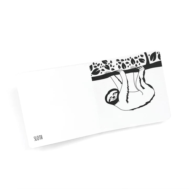 Amazing Animals Of The Amazon - Black and white board book