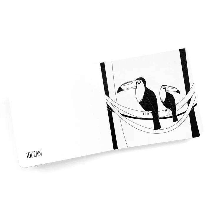 Amazing Animals Of The Amazon - Black and white board book
