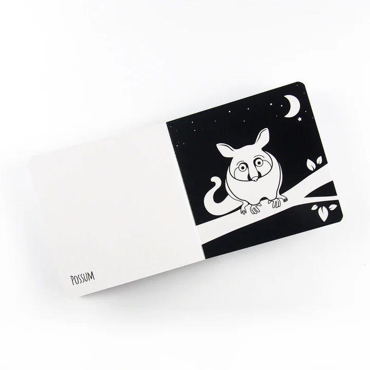 Extraordinary Animals From Oz - Black and white board book