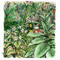 Leaf Pause Small Gardener Print - 2 Sizes Available