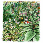 Leaf Pause Small Gardener Print - 2 Sizes Available