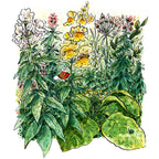 Snapdragon Hideout Small Gardener Print - 2 Sizes Available