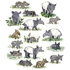Tapir Family Portrait Print - 2 Sizes Available