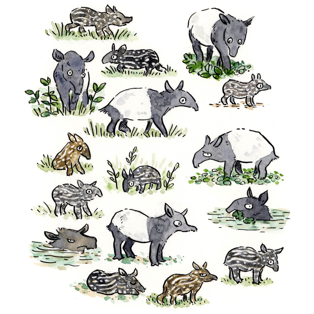 Tapir Family Portrait Print - 2 Sizes Available