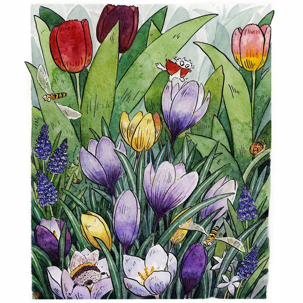 Small Gardener Crocus Explorer Print - 2 Sizes Available