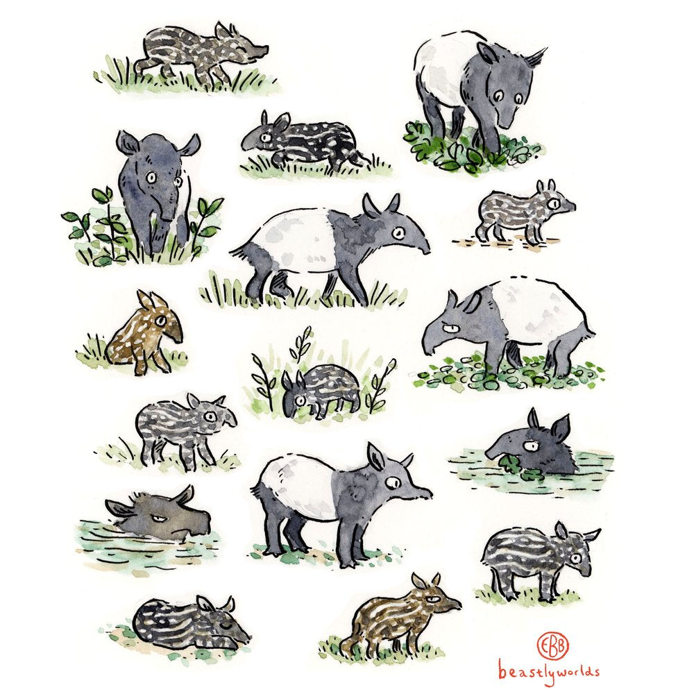 Tapir Family Small Drawstring Bag