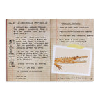 Important Notes Zine