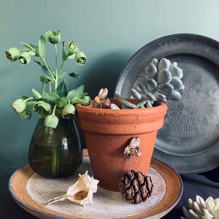 Bumble Bee Plant Pot Companions