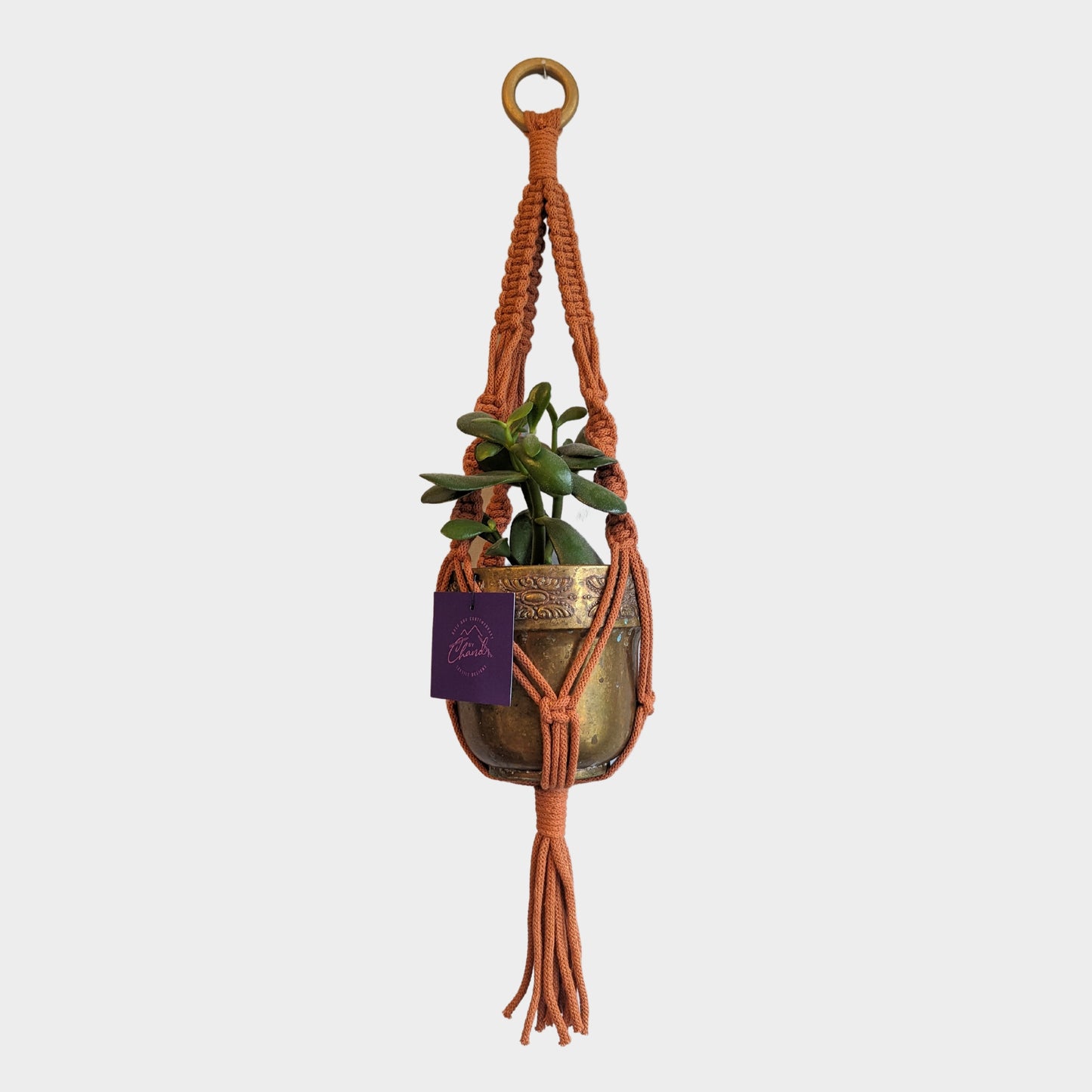 Make Your Own Macrame Plant Hanger Kit
