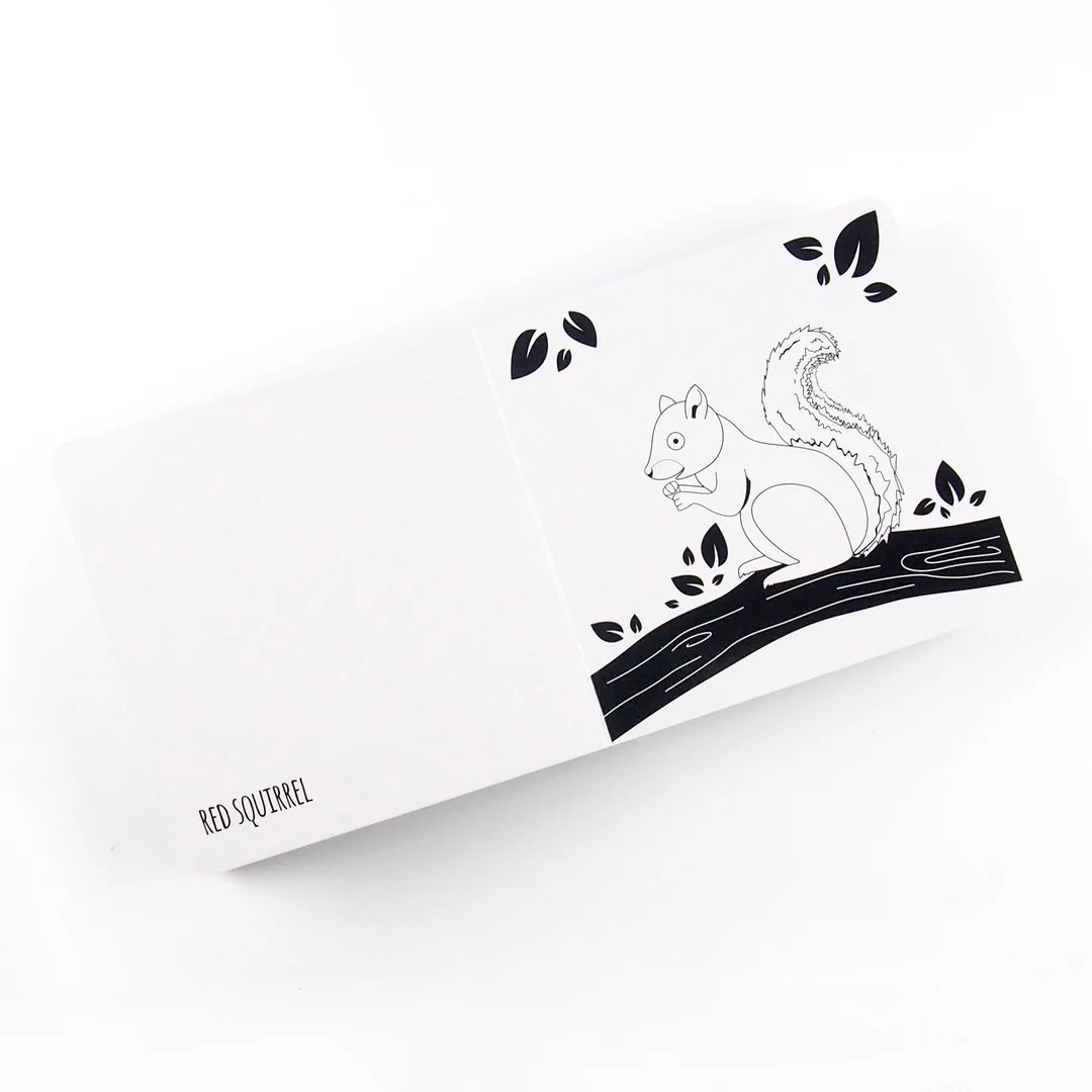 Brilliant Animals Of Great Britain - Black and white board book