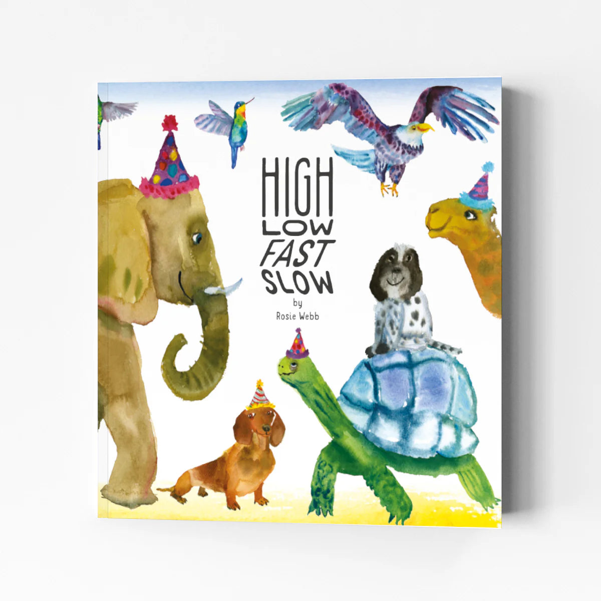 High Low Fast Slow Opposites Book