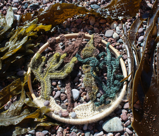 Seaweed Mandala Kit