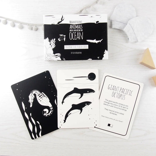 Amazing Animals Above And Below The Ocean - Interactive flash cards