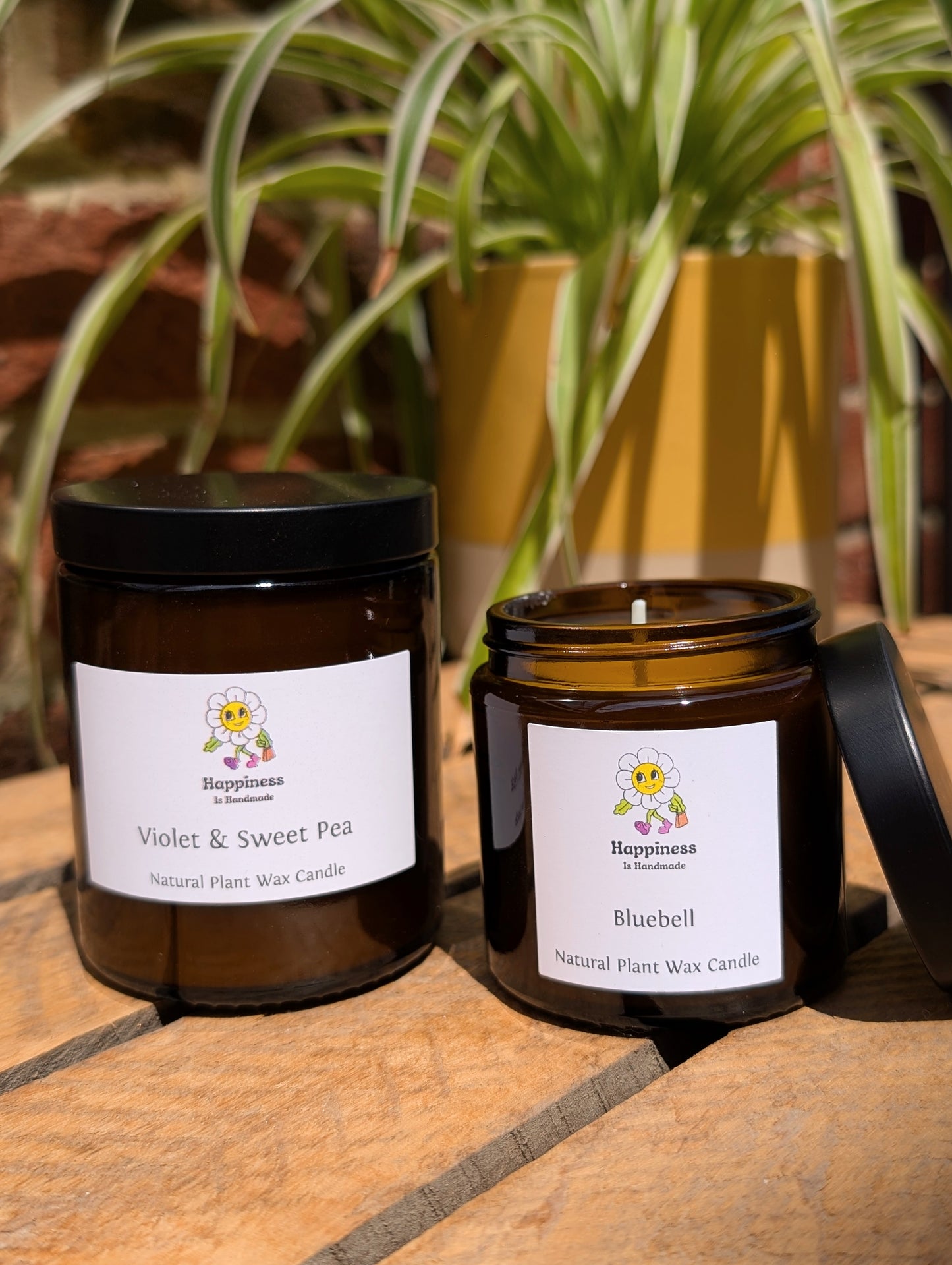 Natural Plant Wax Apothecary Jar Candles
