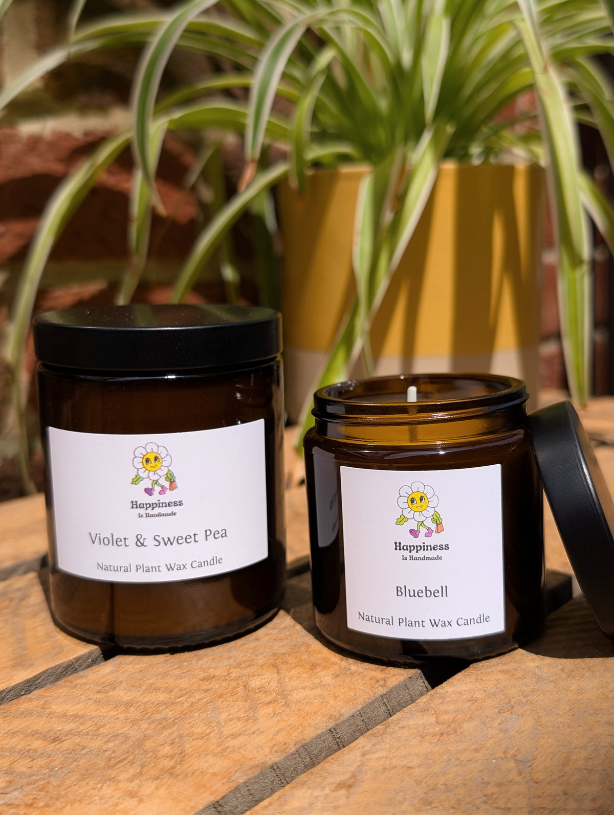 Natural Plant Wax Apothecary Jar Candles - Multiple Scents Available
