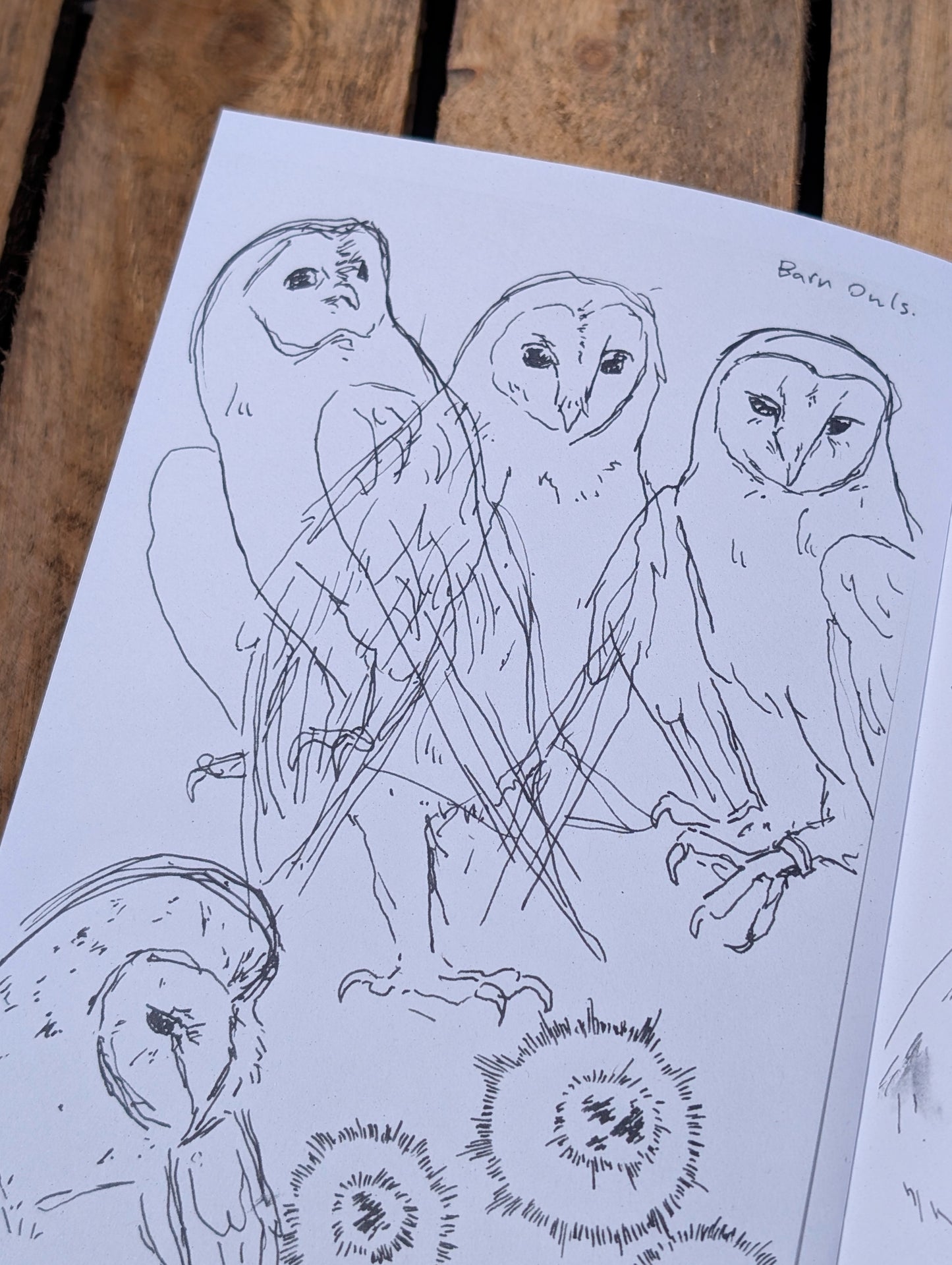 A5 Sketchbook Zine By Rook's Treasures