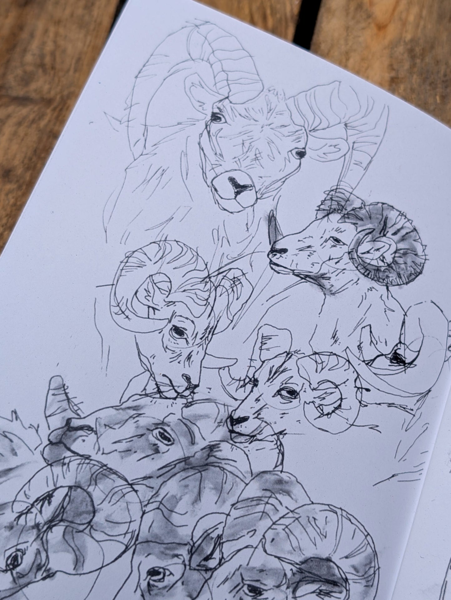 A5 Sketchbook Zine By Rook's Treasures