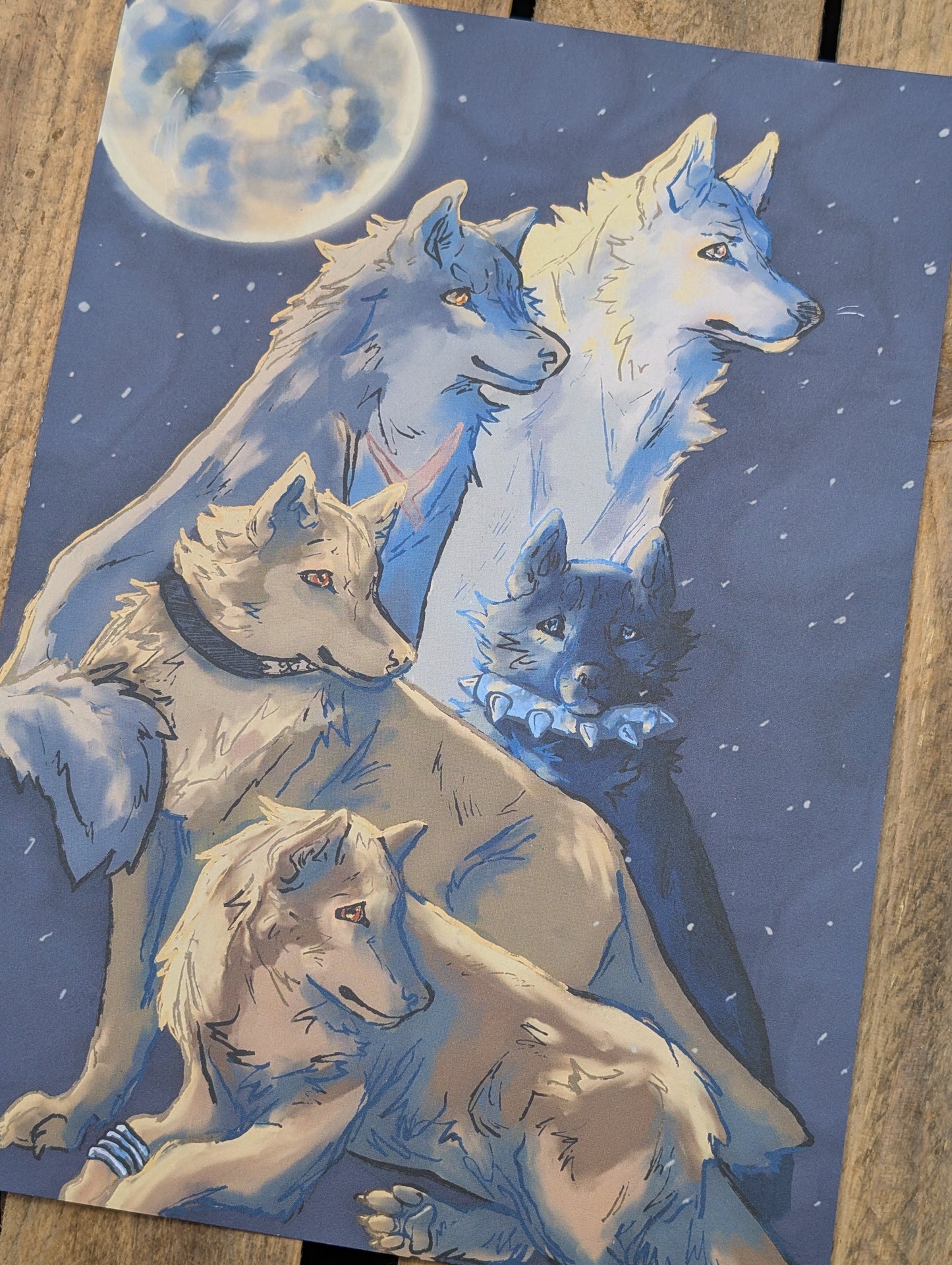 Five Wolves A4 Print