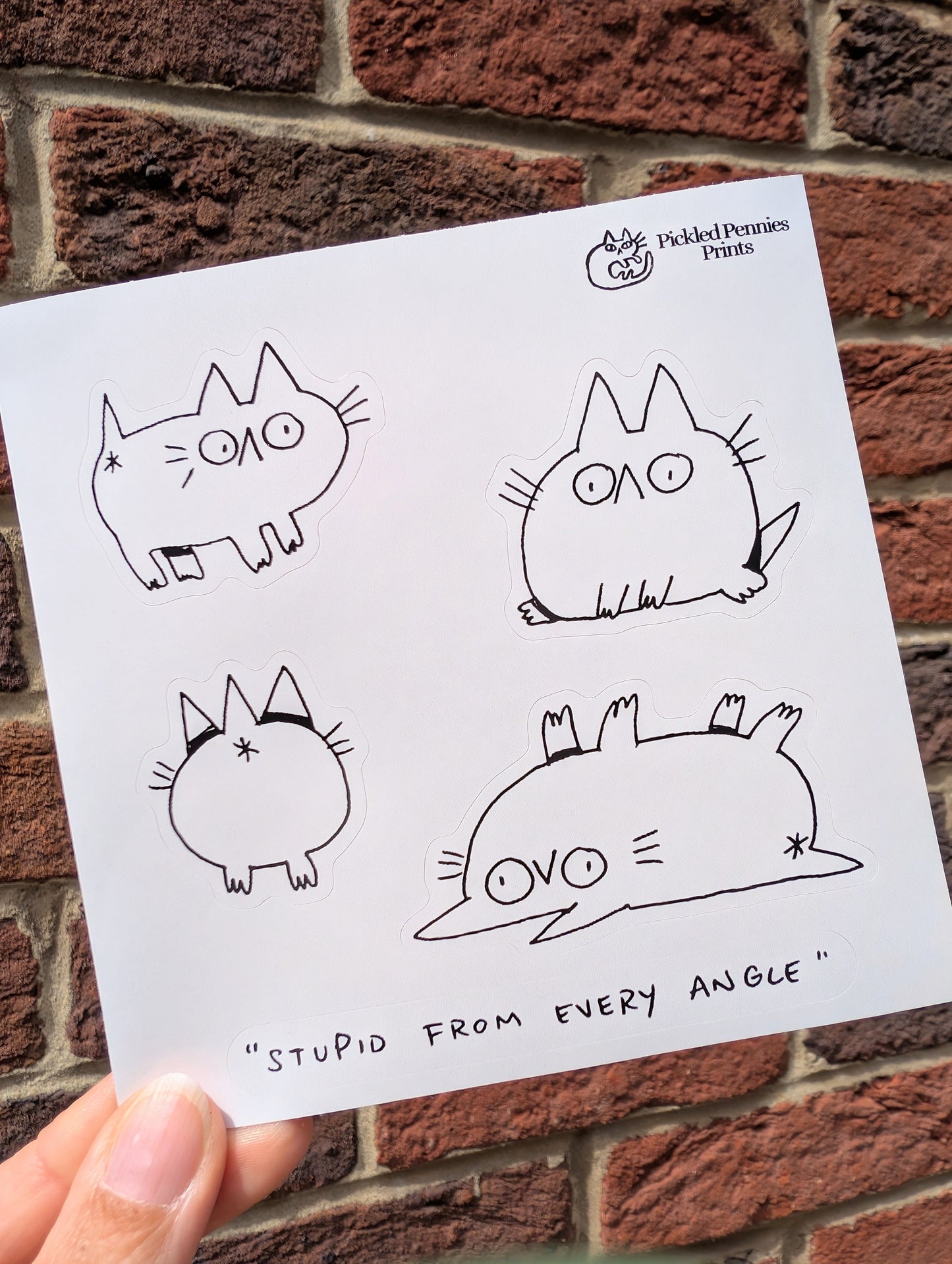 'Stupid From Every Angle' Cat Sticker Sheet