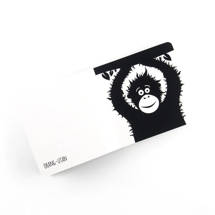 Amazing Animals Of Southeast Asia - Black and white board book