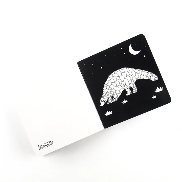 Amazing Animals Of Southeast Asia - Black and white board book