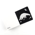Amazing Animals Of Southeast Asia - Black and white board book