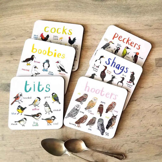 Set Of 6 Bird Pun Coasters