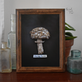 Shaggy Parasol Fungus A5 Print