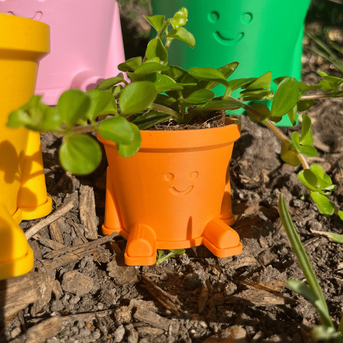 Happy Pot Pals - Various sizes and colours!