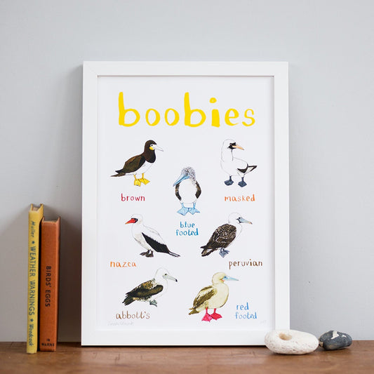 Boobies A4 Art Print