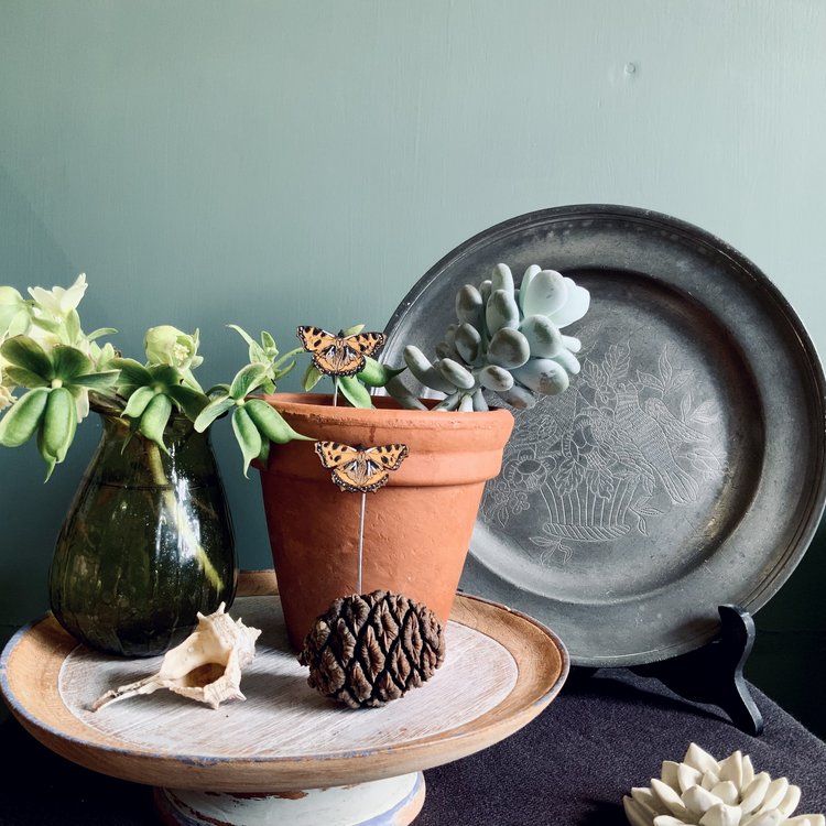 Tortoiseshell Butterfly Plant Pot Companions