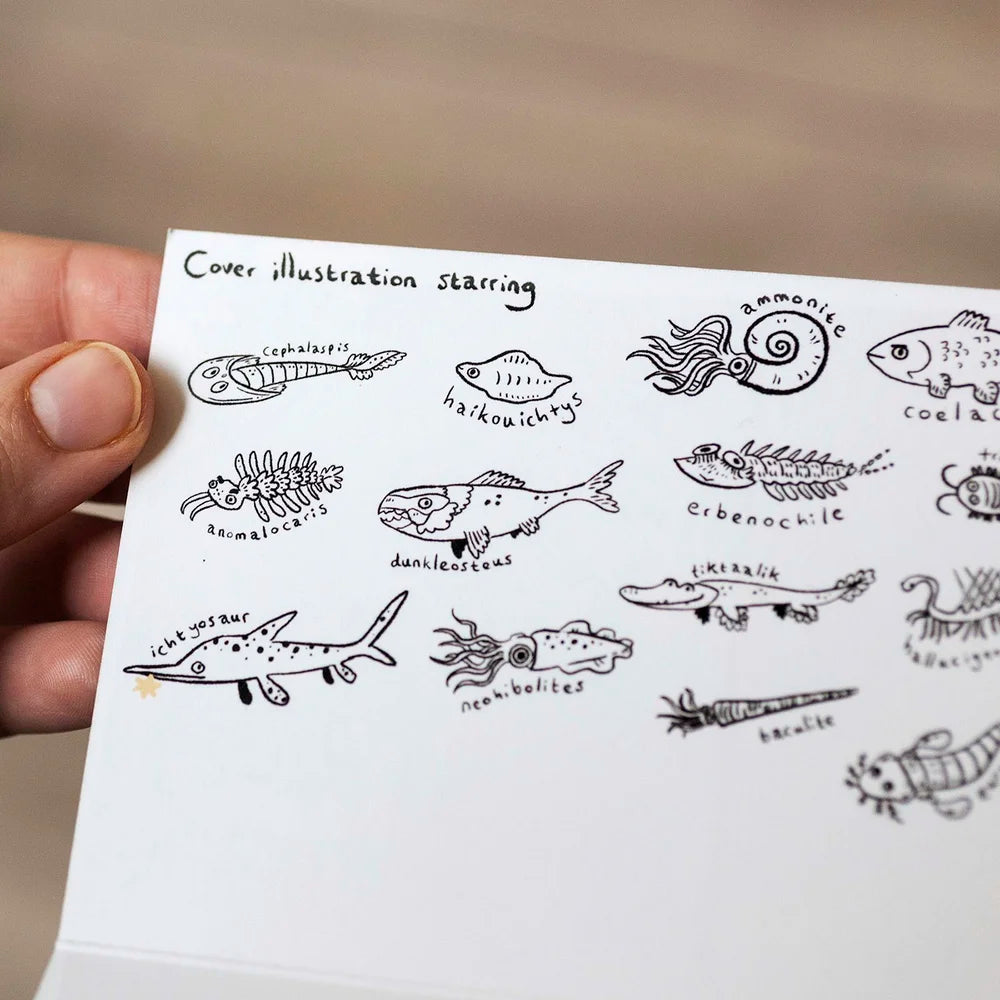 Dino Decorator Multi Card Pack - 4 Cards