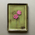 Red Campion Plant Pot Companions