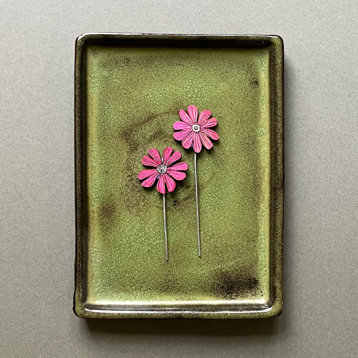 Red Campion Plant Pot Companions