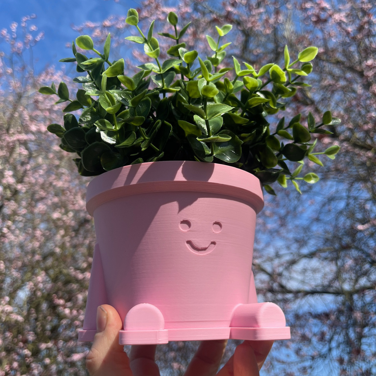 Happy Pot Pals - Various sizes and colours!