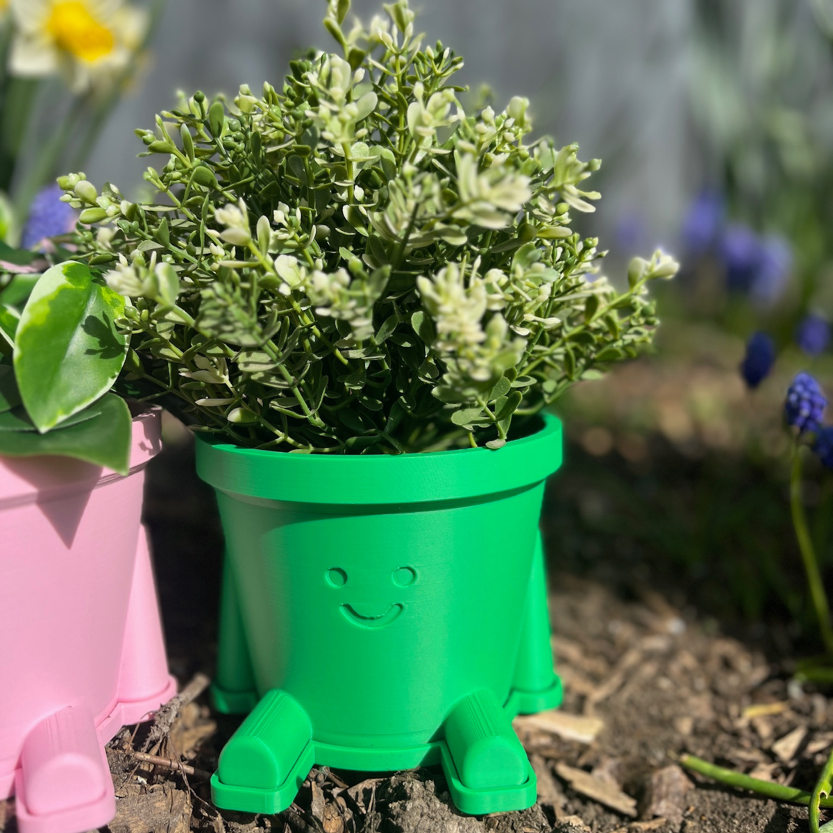 Happy Pot Pals - Various sizes and colours!