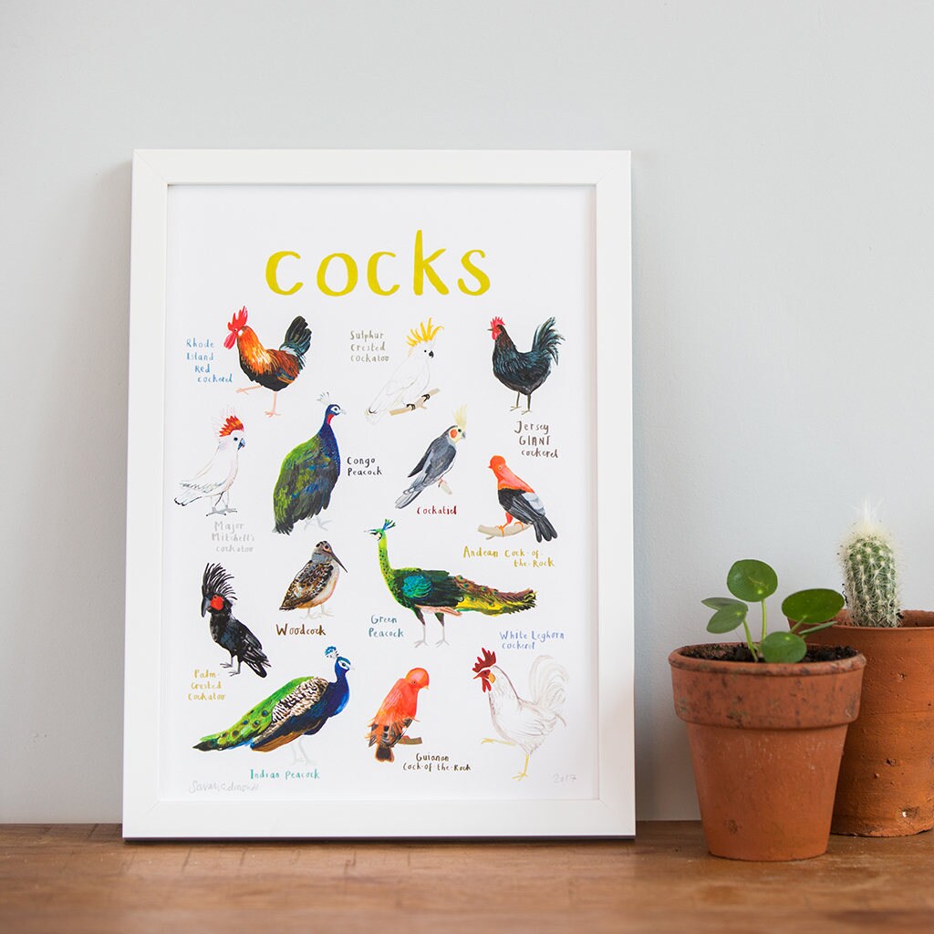 Cocks A4 Art Print