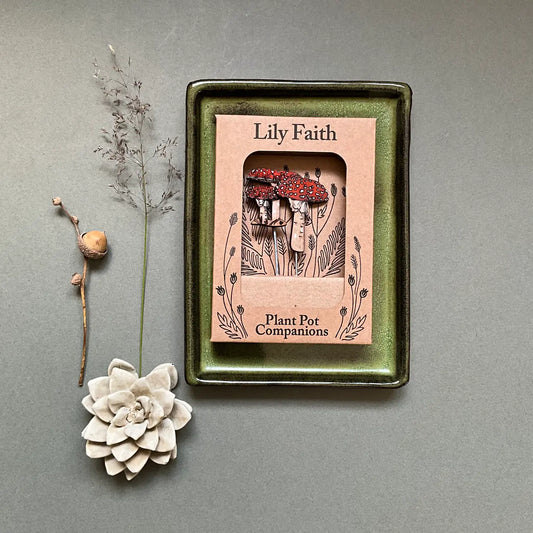 Fly Agaric Plant Pot Companions