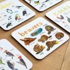 Beavers Animal Coaster