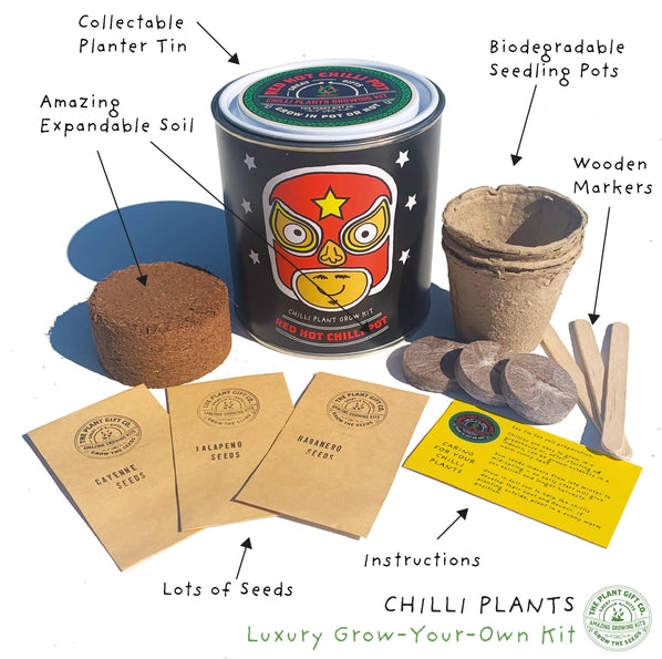 Chilli Plant Growing Gift