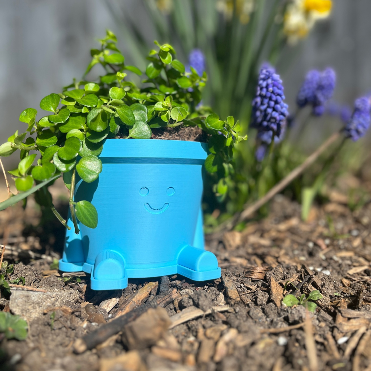 Happy Pot Pals - Various sizes and colours!