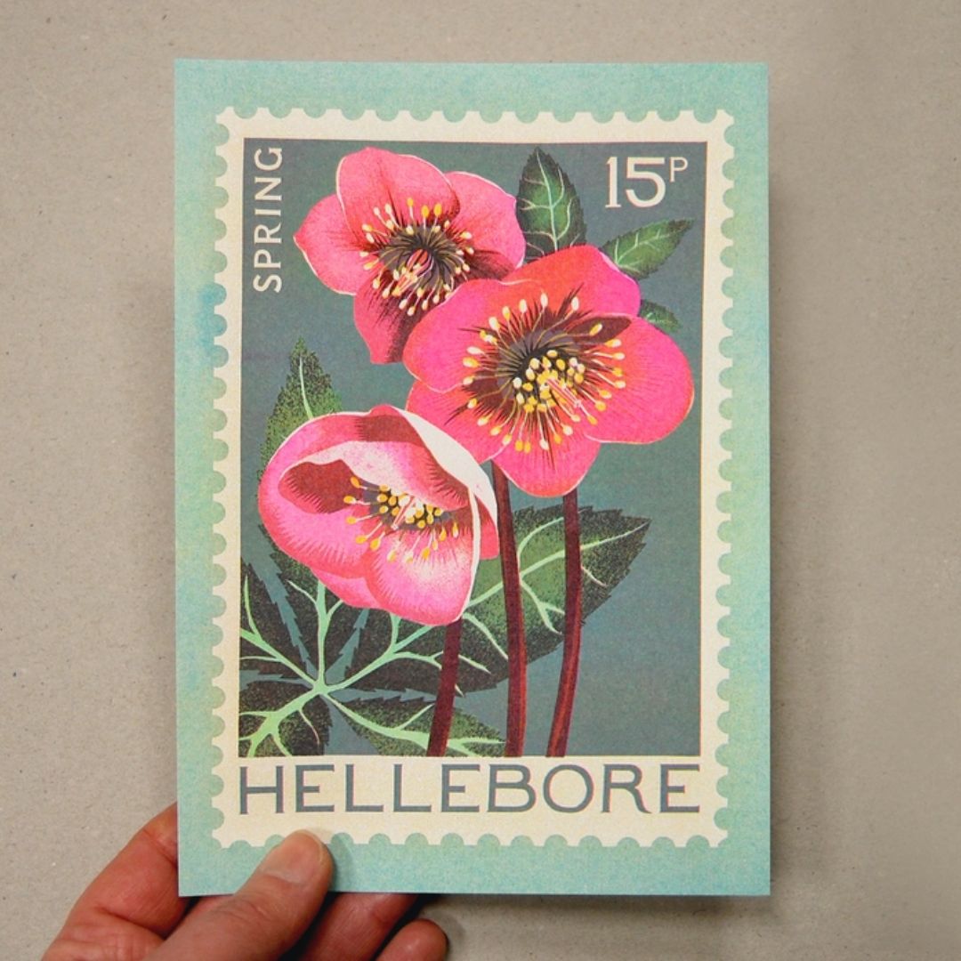 Hellebore A5 Risograph Print