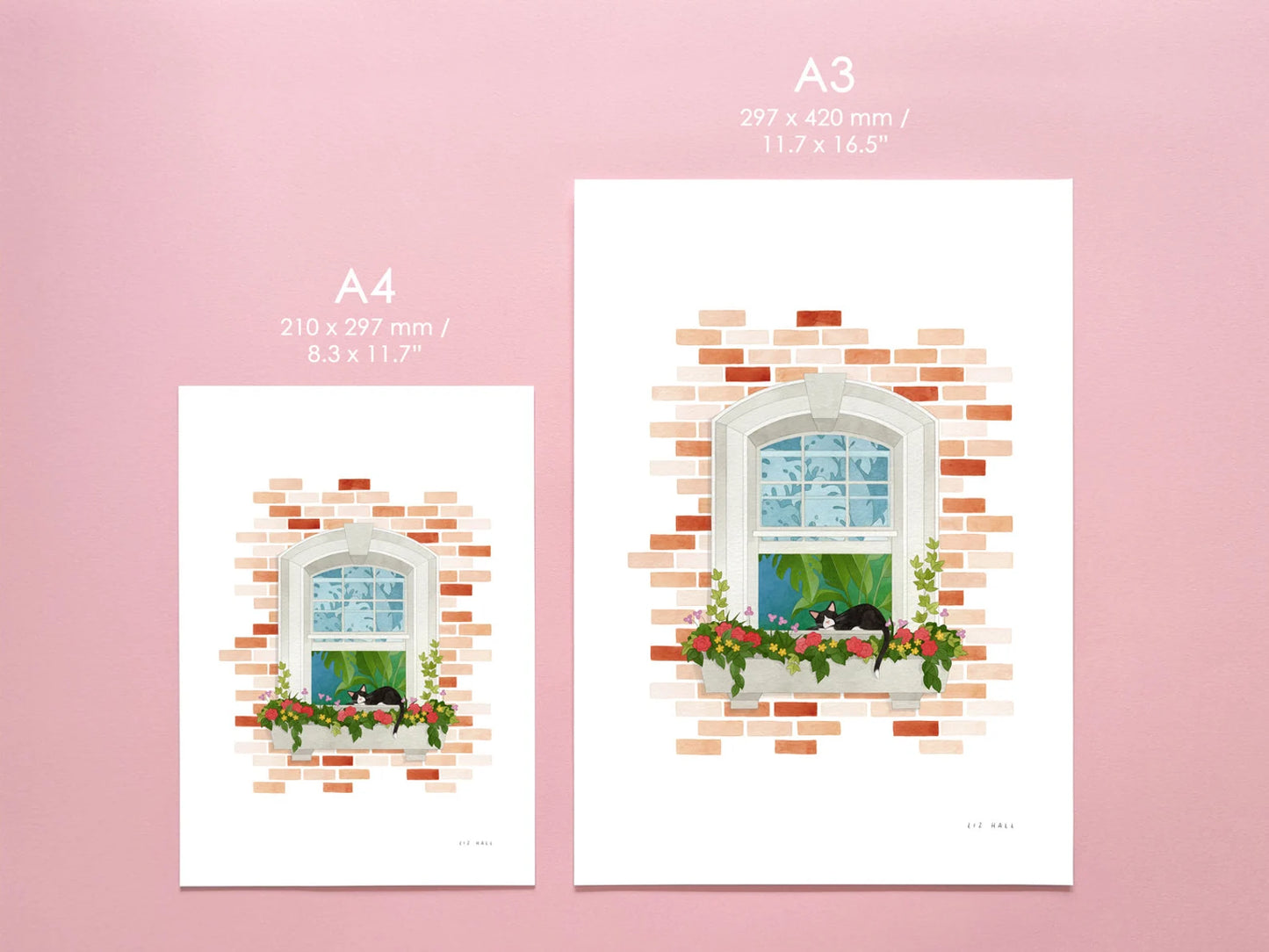 Cat Nap Print - Available in 2 sizes