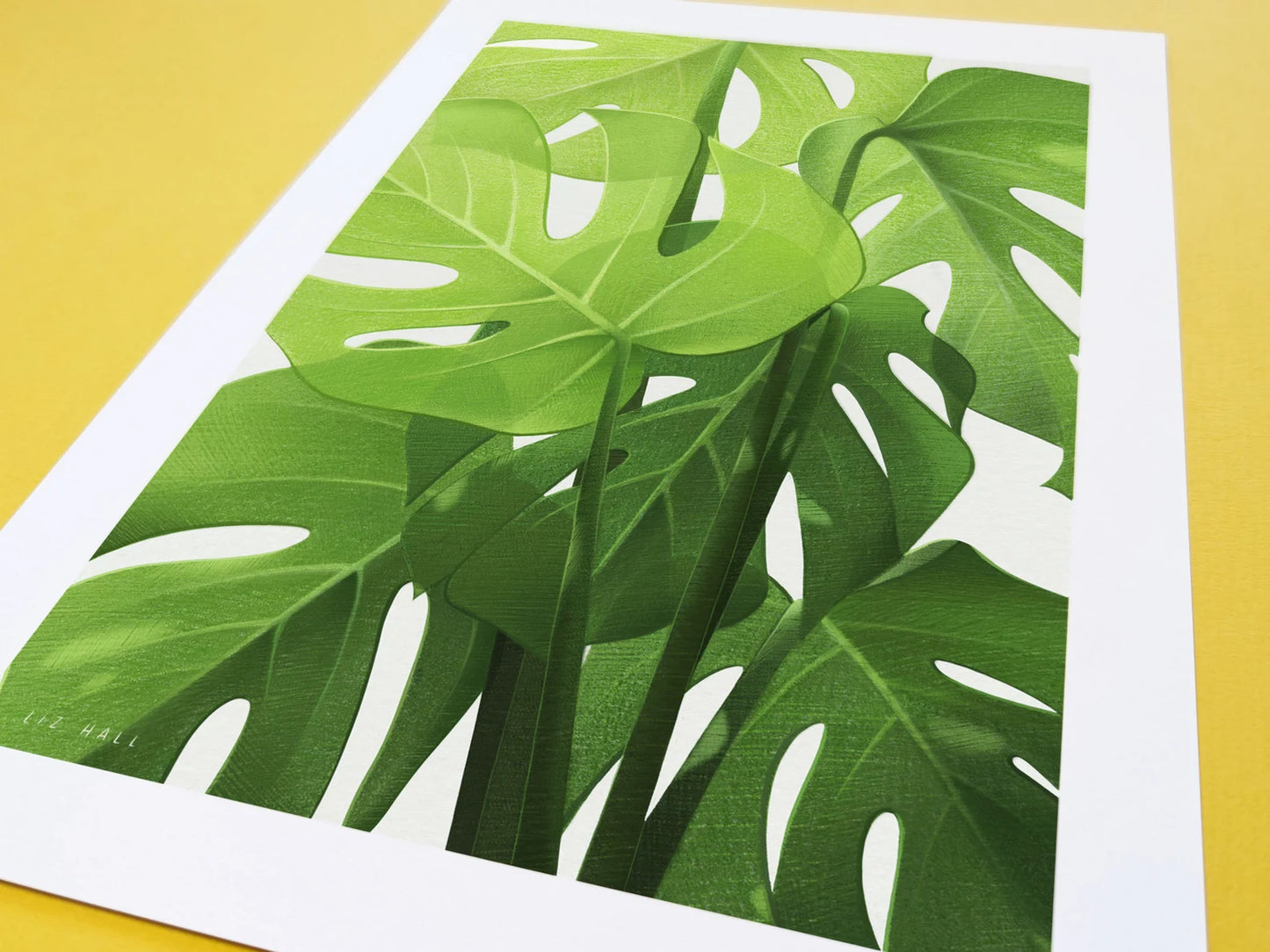 Monstera Print - Available in 2 sizes